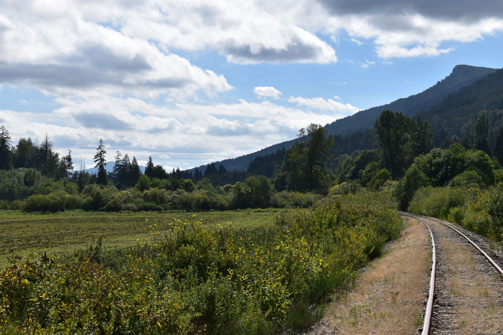 Near Bonsall Creek in Crofton